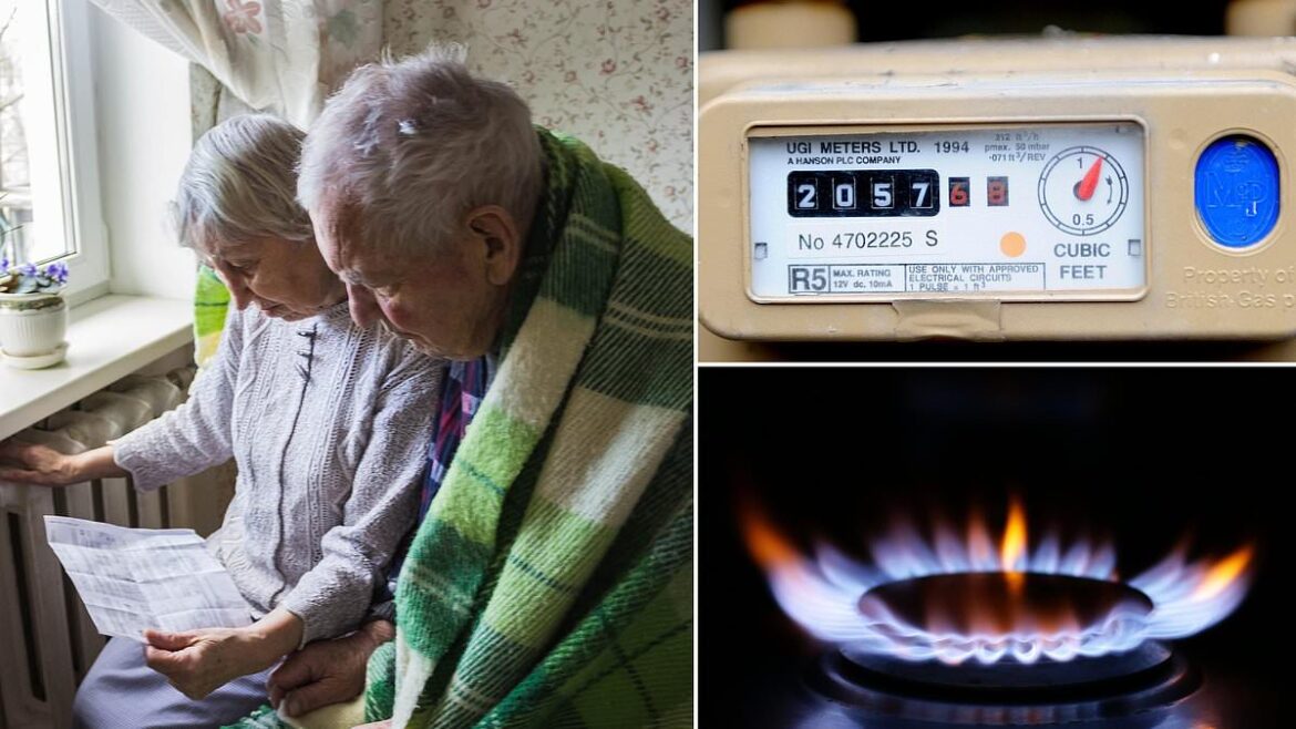 Take an energy meter reading by THIS date or risk overpaying on bills, households warned