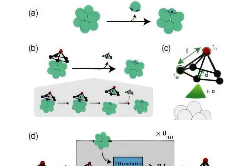 Scientists use machine learning to develop an opener for a molecular can