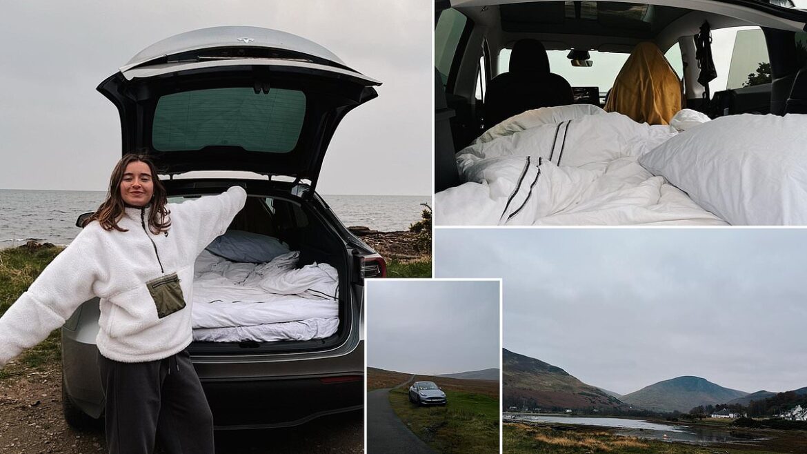 Can you live in an electric car? FREDA LEWIS-STEMPEL took the new Tesla Model Y to a remote island on ‘camp mode’ to find out