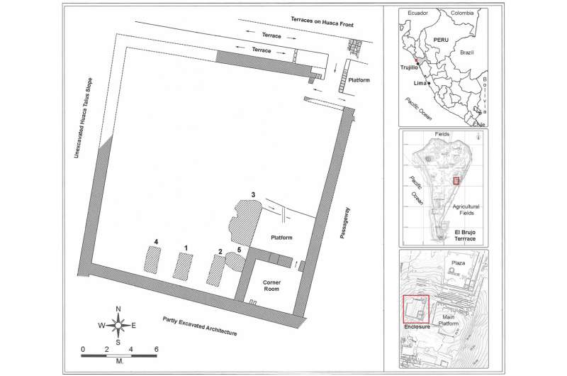 Genetic analysis reveals kinship in ancient Moche sacrifice