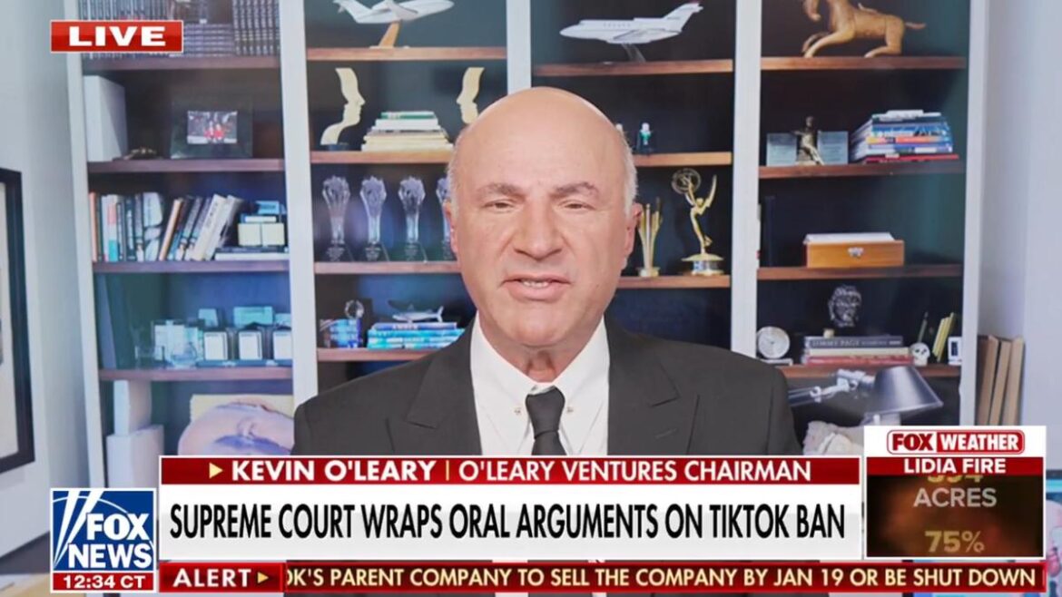 ‘Make TikTok wonderful again’: Kevin O’Leary explains his plan to save the social media platform