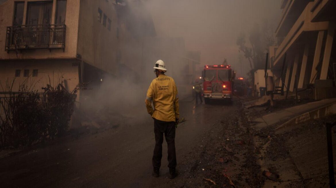 Police Nab Looter Disguised As Fireman During LA Wildfires