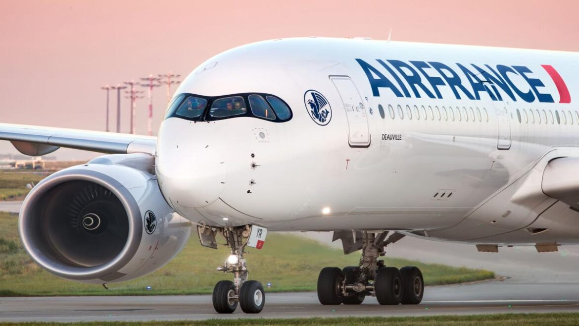 Horror as passenger dies on board Air France flight after doctor on board tried to save them on trip from Paris